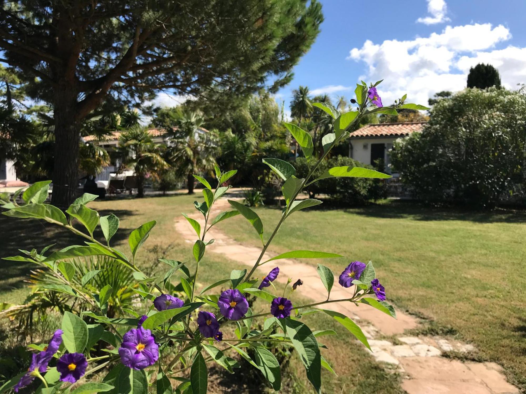 Les Portes-en-Re Le Jardin Des Portes Bed & Breakfast エクステリア 写真